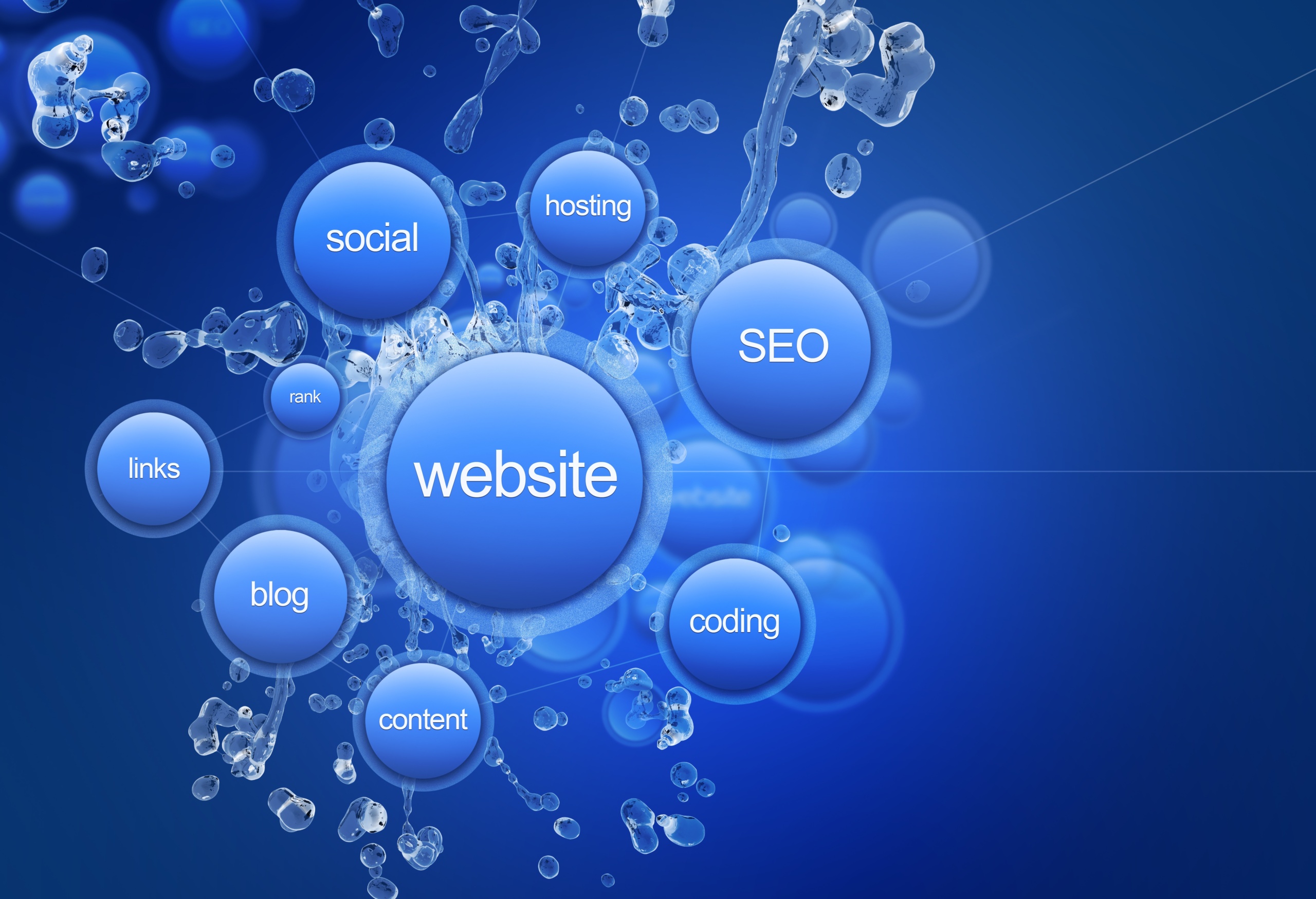 Website Project